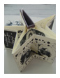 2010 -11 Biographical pop up