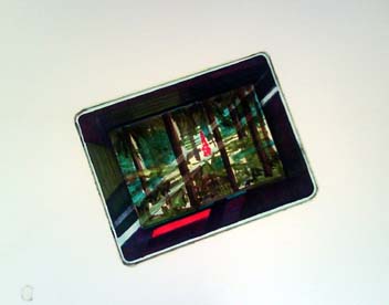 Forest Tablet