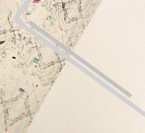 click here to see painting